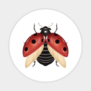 Red ladybug digital drawing Magnet